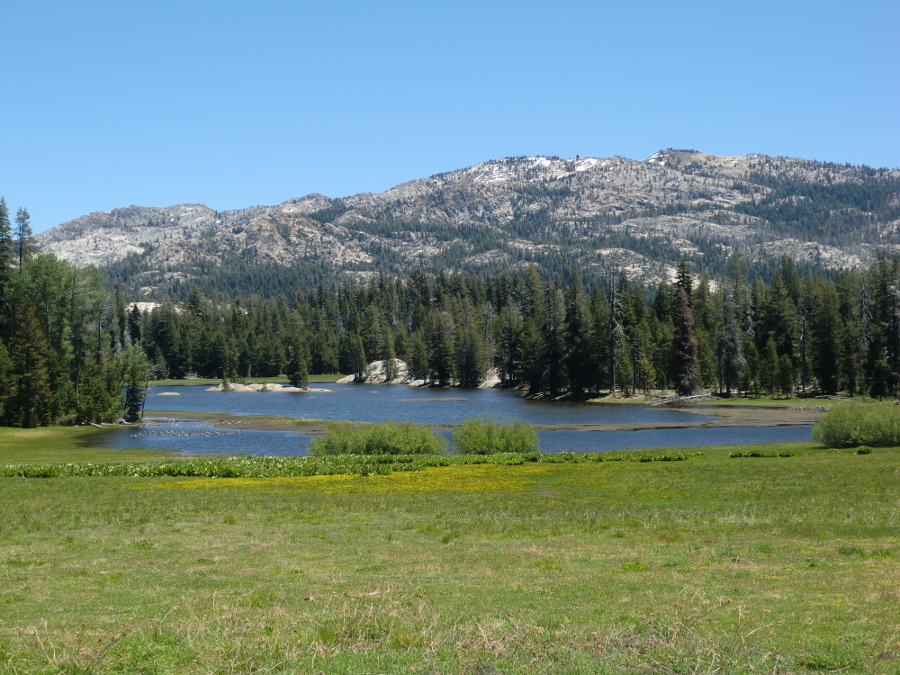 Calaveras Big Trees State Park, California